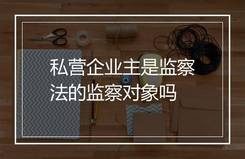 私营企业主是监察法的监察对象吗