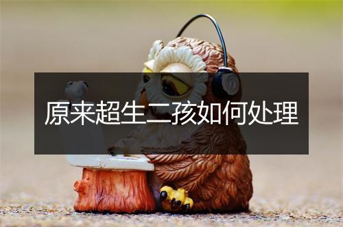 原来超生二孩如何处理