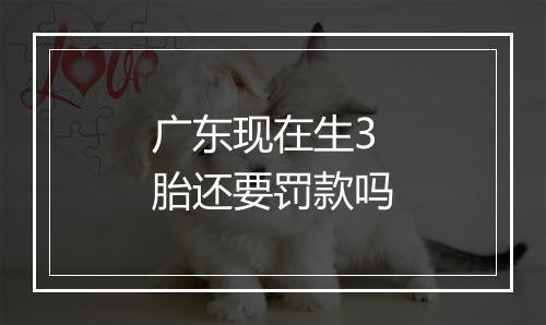 广东现在生3胎还要罚款吗