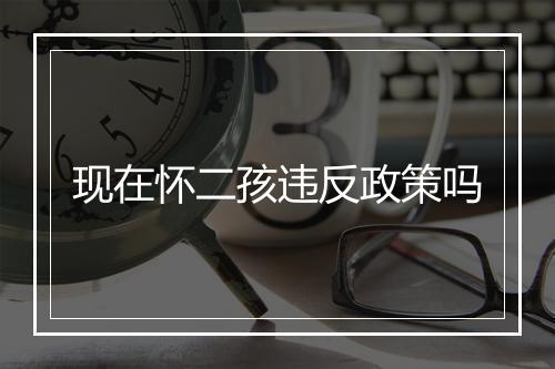 现在怀二孩违反政策吗