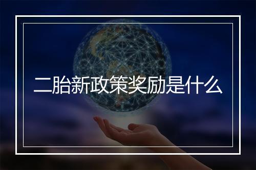 二胎新政策奖励是什么