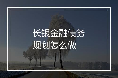 长银金融债务规划怎么做