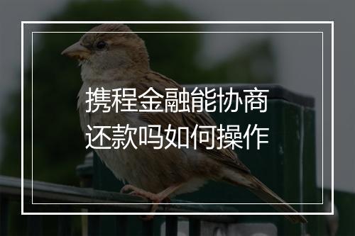 携程金融能协商还款吗如何操作