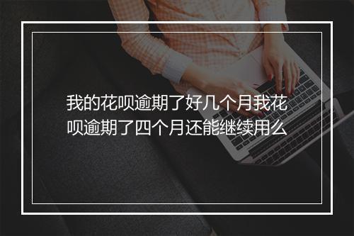 我的花呗逾期了好几个月我花呗逾期了四个月还能继续用么