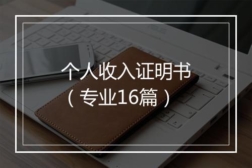 个人收入证明书（专业16篇）