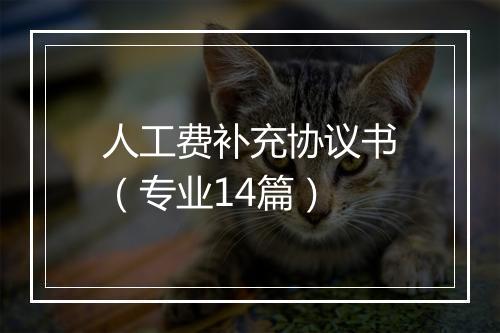 人工费补充协议书（专业14篇）
