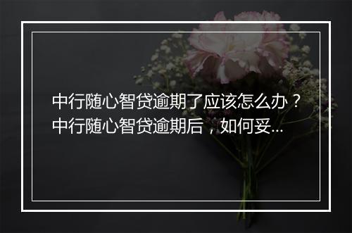 中行随心智贷逾期了应该怎么办？中行随心智贷逾期后，如何妥善处理？