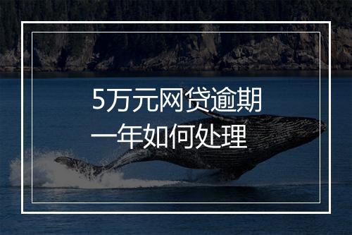 5万元网贷逾期一年如何处理
