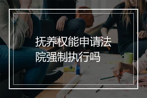 抚养权能申请法院强制执行吗