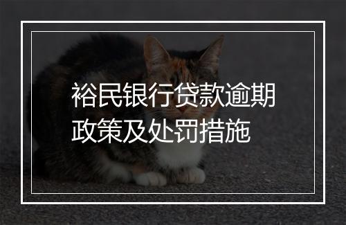 裕民银行贷款逾期政策及处罚措施