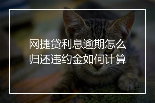 网捷贷利息逾期怎么归还违约金如何计算