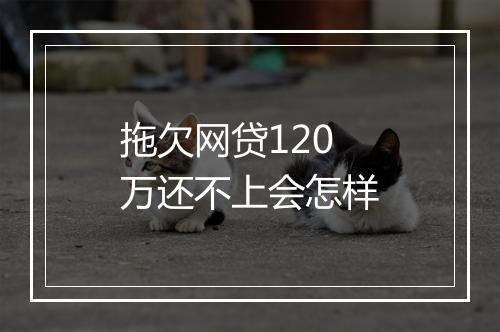 拖欠网贷120万还不上会怎样