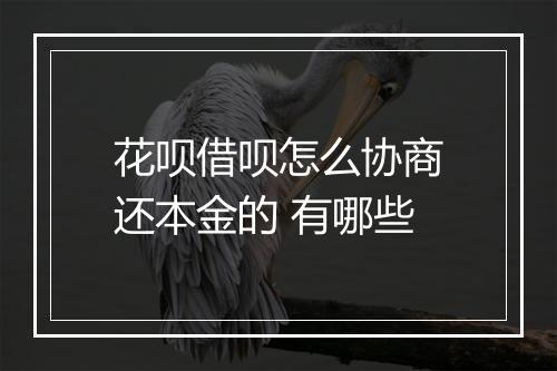 花呗借呗怎么协商还本金的 有哪些