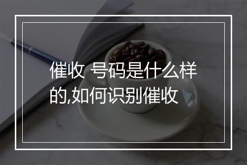 催收 号码是什么样的,如何识别催收