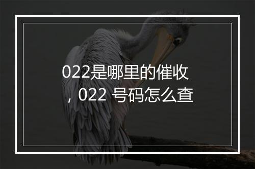 022是哪里的催收 ，022 号码怎么查