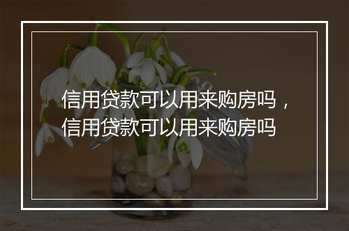 信用贷款可以用来购房吗，信用贷款可以用来购房吗