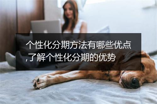 个性化分期方法有哪些优点,了解个性化分期的优势