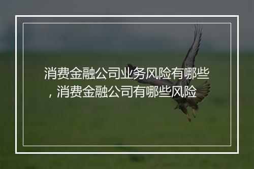 消费金融公司业务风险有哪些，消费金融公司有哪些风险