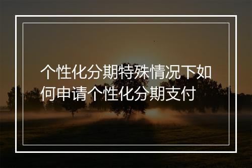 个性化分期特殊情况下如何申请个性化分期支付