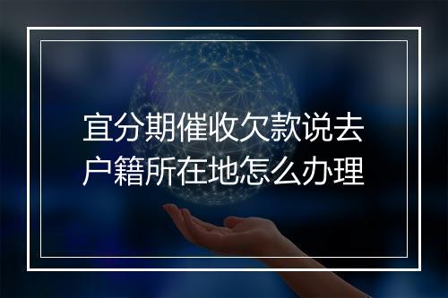 宜分期催收欠款说去户籍所在地怎么办理