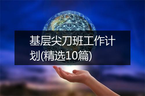 基层尖刀班工作计划(精选10篇)