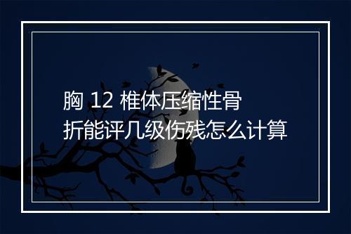 胸 12 椎体压缩性骨折能评几级伤残怎么计算