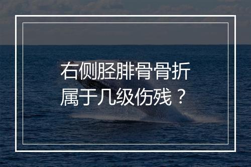 右侧胫腓骨骨折属于几级伤残？