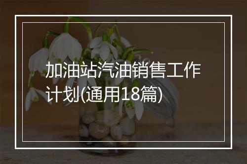 加油站汽油销售工作计划(通用18篇)