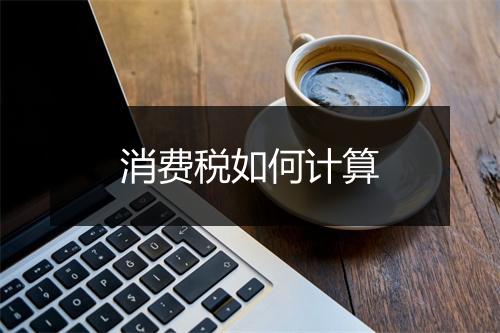 消费税如何计算