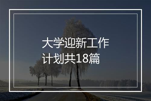 大学迎新工作计划共18篇