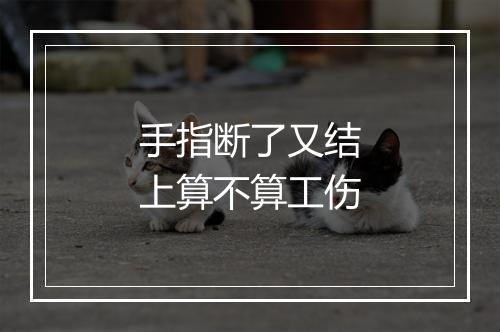 手指断了又结上算不算工伤