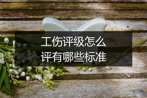 工伤评级怎么评有哪些标准