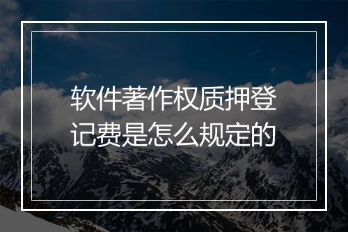 软件著作权质押登记费是怎么规定的