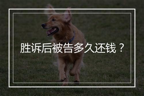 胜诉后被告多久还钱？