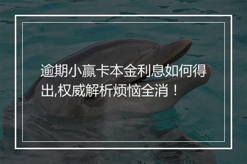 逾期小赢卡本金利息如何得出,权威解析烦恼全消！