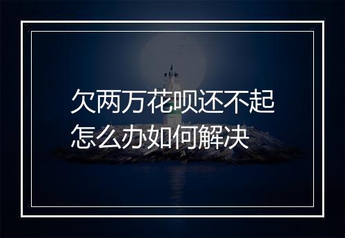 欠两万花呗还不起怎么办如何解决