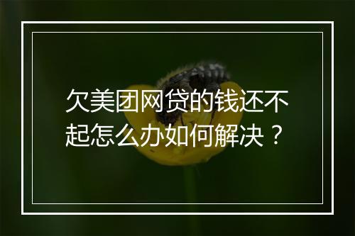 欠美团网贷的钱还不起怎么办如何解决？