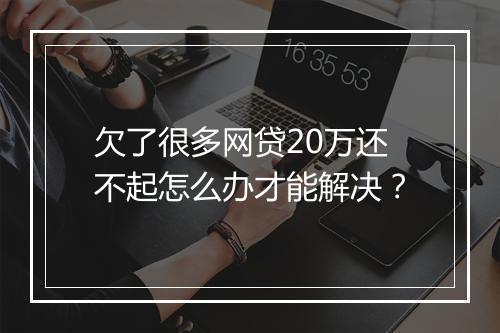 欠了很多网贷20万还不起怎么办才能解决？