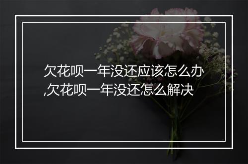 欠花呗一年没还应该怎么办,欠花呗一年没还怎么解决