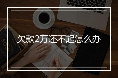 欠款2万还不起怎么办