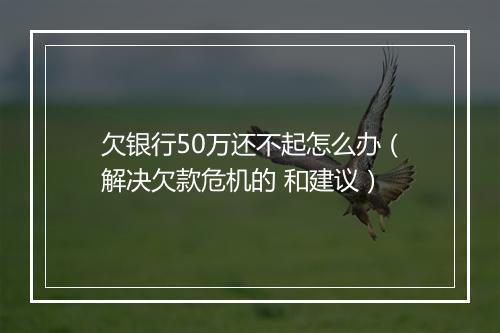 欠银行50万还不起怎么办（解决欠款危机的 和建议）