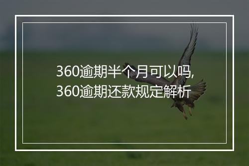 360逾期半个月可以吗,360逾期还款规定解析