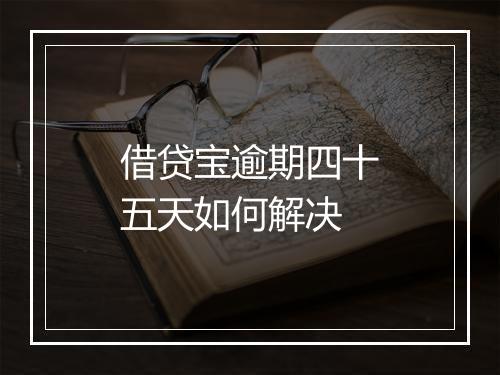 借贷宝逾期四十五天如何解决