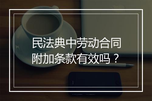 民法典中劳动合同附加条款有效吗？