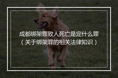 成都绑架罪致人死亡是定什么罪（关于绑架罪的相关法律知识）