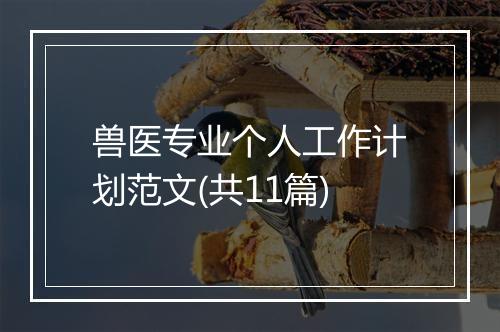兽医专业个人工作计划范文(共11篇)