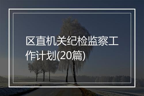 区直机关纪检监察工作计划(20篇)