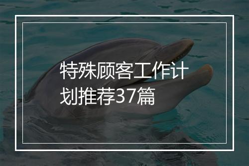 特殊顾客工作计划推荐37篇