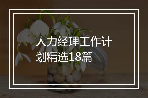 人力经理工作计划精选18篇