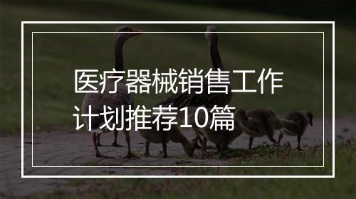 医疗器械销售工作计划推荐10篇